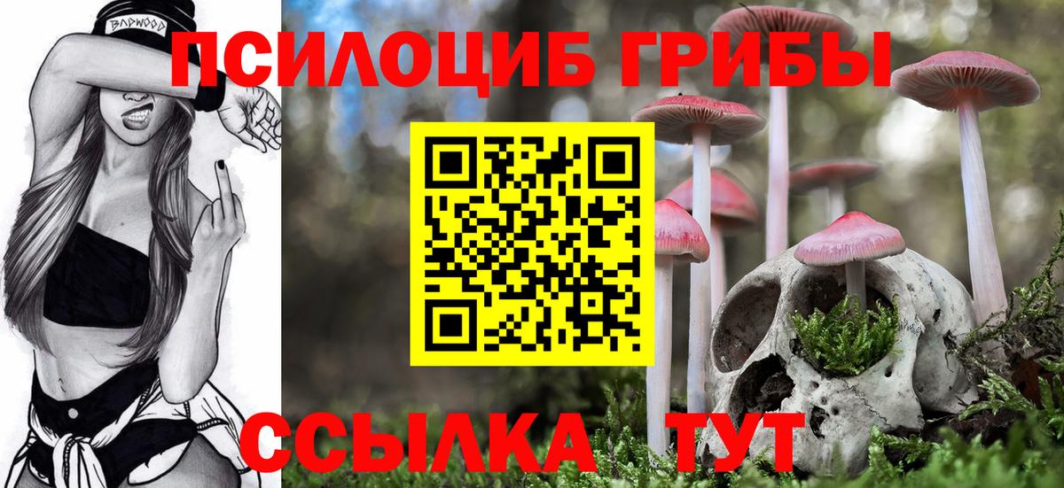 Псилоцибиновые грибы Psilocybine cubensis  Вход с VPN  Балабаново 